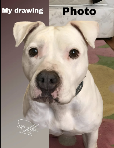 Képernyőkép 2025-06-07 121005